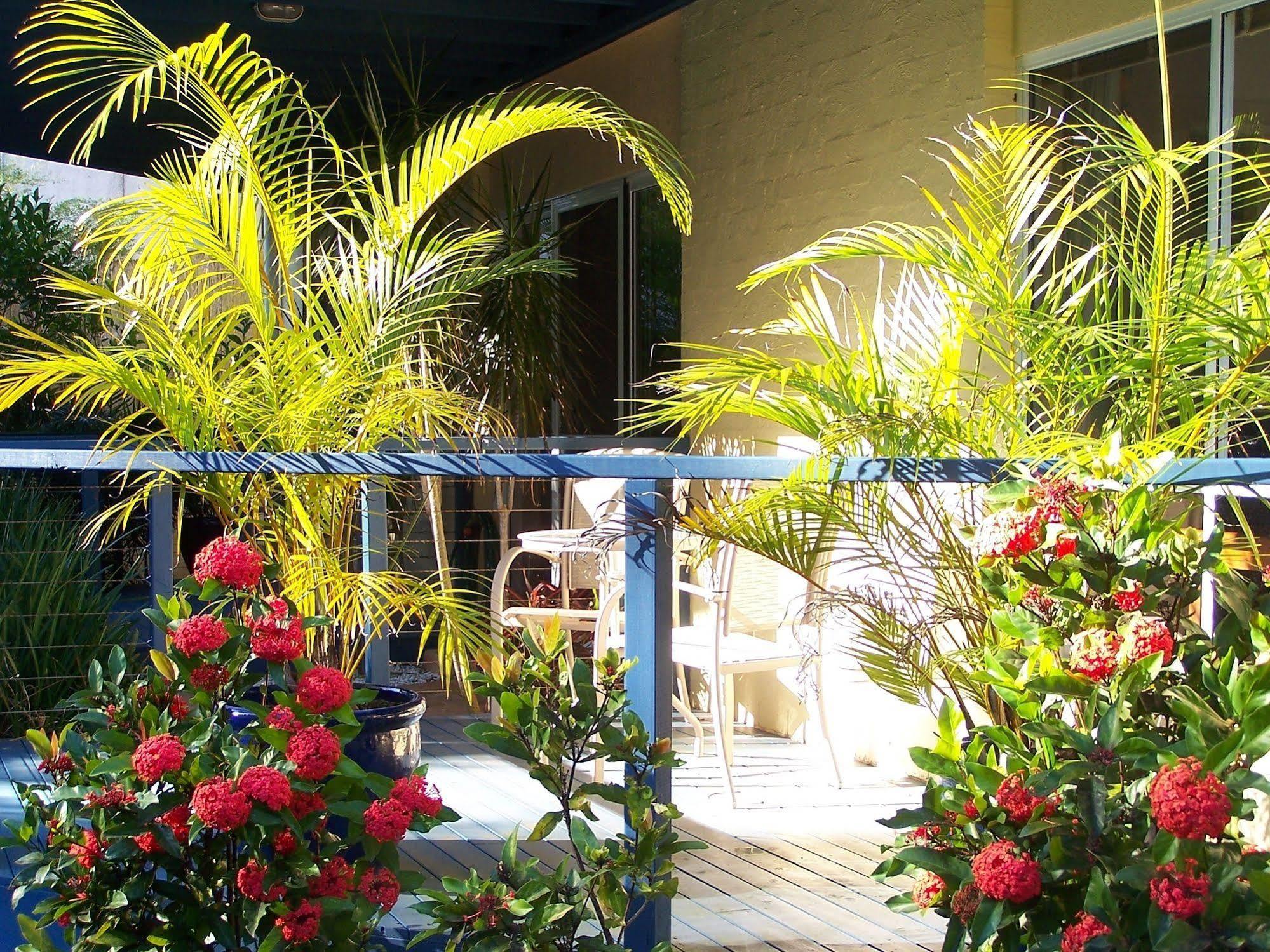 Azura Beach House B&B Port Macquarie Exterior foto